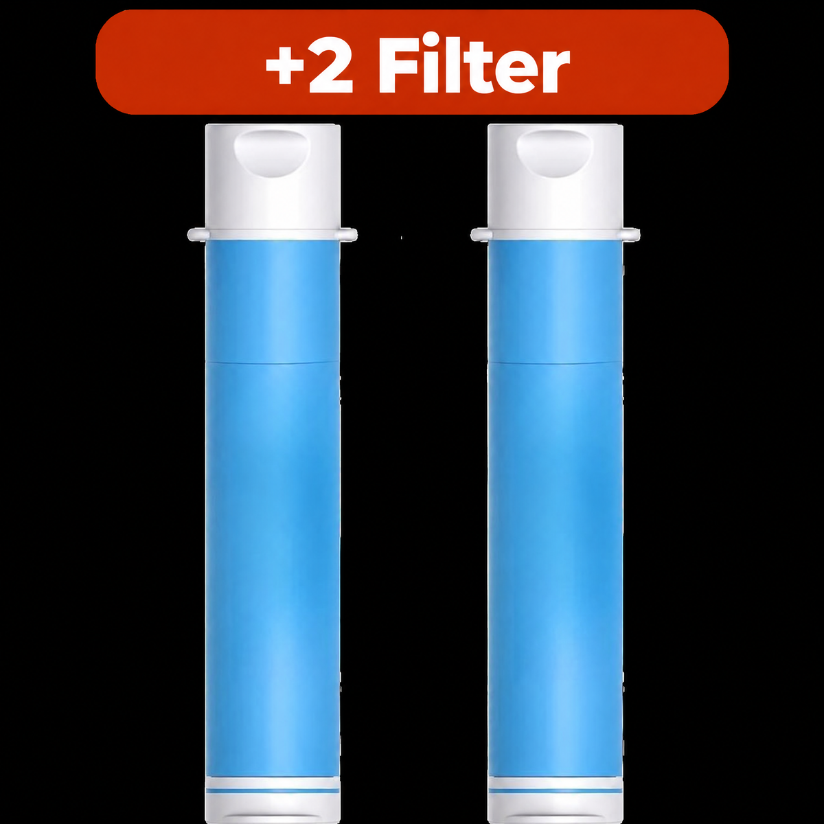 2er-Pack Ersatzfilter AQUA-GS1